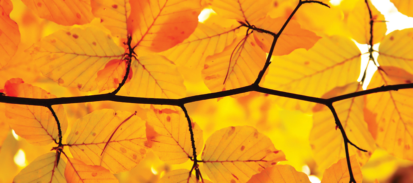 Easy Skin Care Swaps For Fall