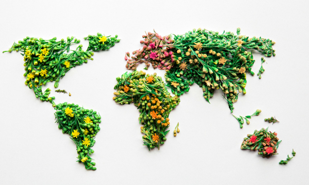 Our Love Affair With Kind Traveler